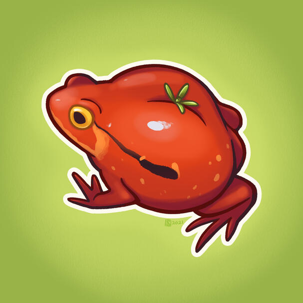 Tomato Frog