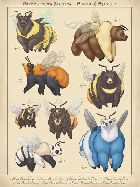 BumbleBear Species Poster